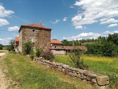 For sale House LANGEAC  43