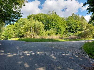 photo For sale Land MARCILLAC-LA-CROISILLE 19