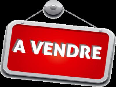 Vente Commerce RUFFEC 16700