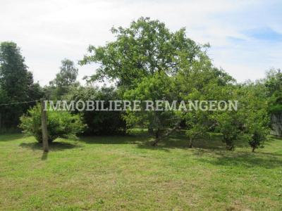 For sale House MAROLLE-EN-SOLOGNE 