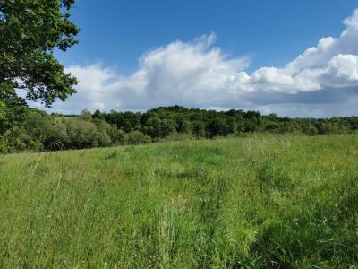 photo For sale Land LIBOURNE 33