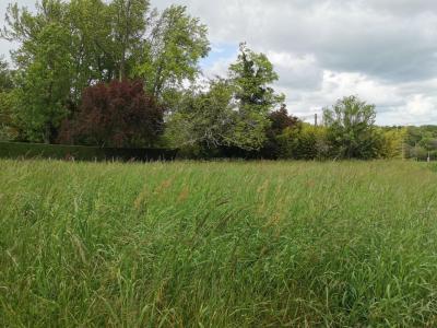 photo For sale Land LIBOURNE 33