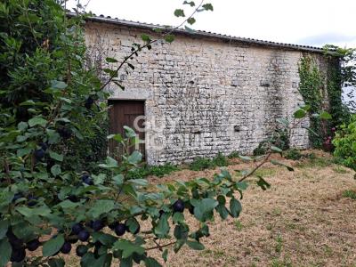 Vente Maison SAINT-SATURNIN-DU-BOIS 