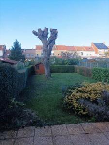 photo For rent House COUDEKERQUE-BRANCHE 59