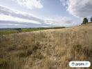 For sale Land Fabrezan  11200 28200 m2