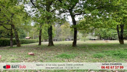 photo For sale Land SAUCATS 33