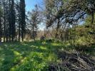 For sale Land Boissiere  34150 2000 m2