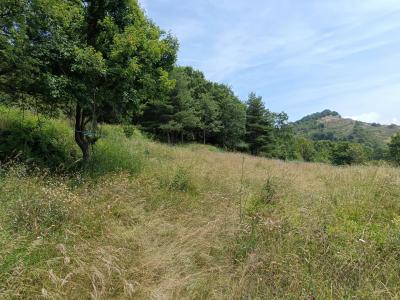 photo For sale Land COURSEGOULES 06