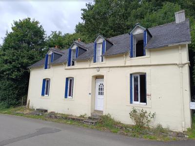 photo For sale House CHATEAUNEUF-DU-FAOU 29