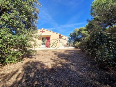 photo For sale House GRAMBOIS 84