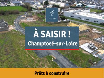 photo For sale Land CHAMPTOCE-SUR-LOIRE 49