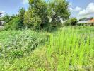 For sale Land Orchies  59310 2510 m2 11 rooms