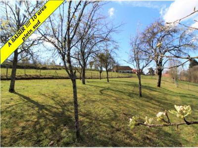 For sale Land GROSMAGNY  90