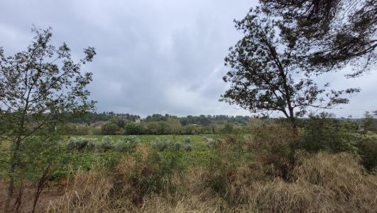 Vente Terrain RIEUX-MINERVOIS 11160