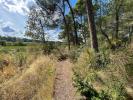 Acheter Terrain 1500 m2 Rieux-minervois