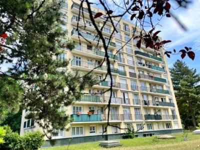 Vente Appartement ARGENTEUIL ARGENTEUIL   ORGEMONT