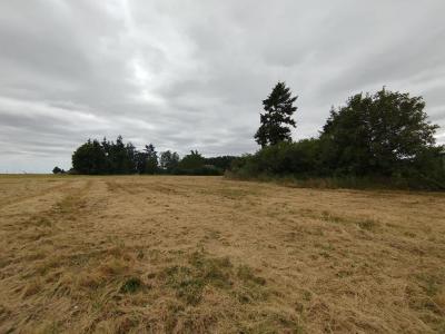 photo For sale Land SELOMMES 41