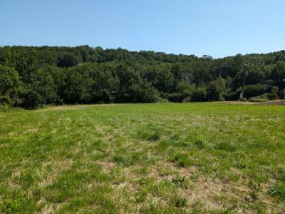 For sale Land SAIX  81