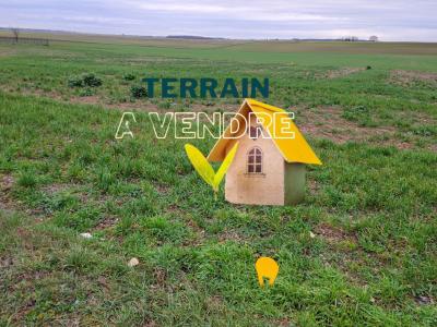 Vente Terrain ROCHEREAU 86170