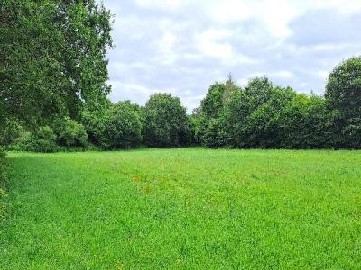 photo For sale Land PLONEOUR-LANVERN 29