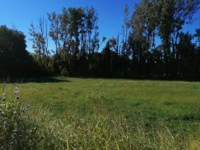 photo For sale Land SENAS 13