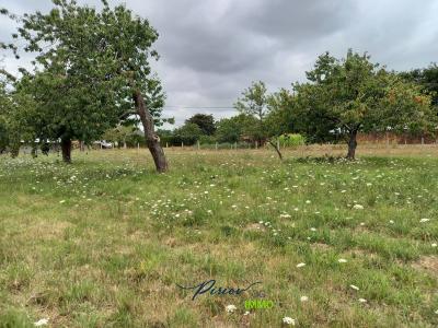 photo For sale Land BAUGE 49