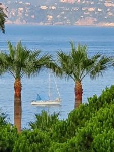 photo For sale Apartment CANNES 06