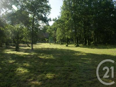 photo For sale Land SAINT-VIVIEN-DE-MEDOC 33