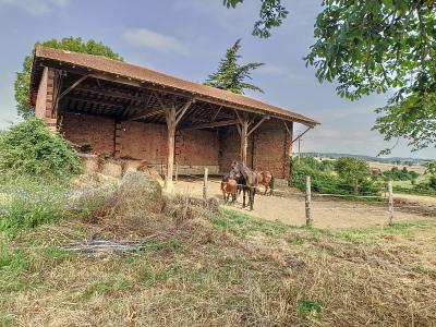 For sale Agricultural domain TRIE-SUR-BAISE  65