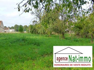 Vente Terrain EGREVILLE 77620