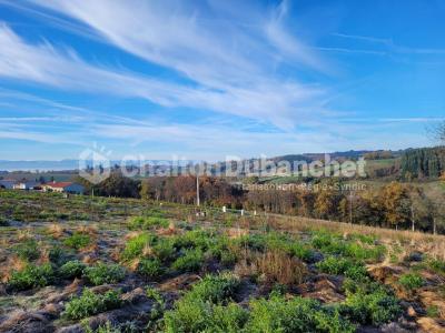 photo For sale Land TARARE 69