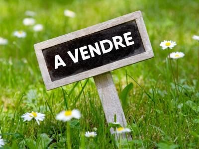 Vente Terrain PETITE-ILE  974