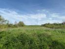 For sale Land Saint-florentin  89600 2400 m2