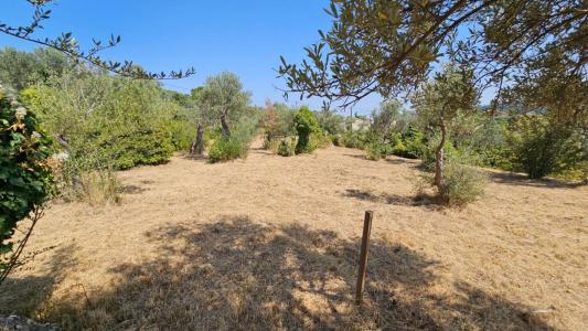 photo For sale Land CLAVIERS 83