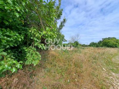 For sale Land SAINT-SATURNIN-DU-BOIS  17