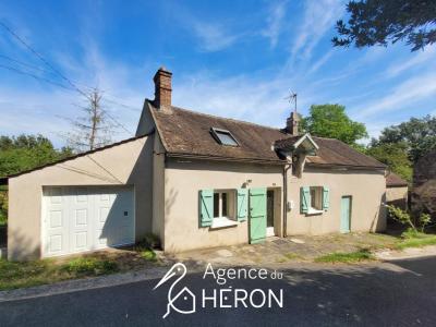 photo For sale Prestigious house SAINT-PIERRE-LES-NEMOURS 77