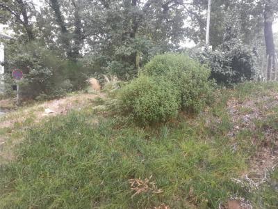 photo For sale Land MIOS 33