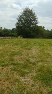 photo For sale Land BRIGNAC-LA-PLAINE 19