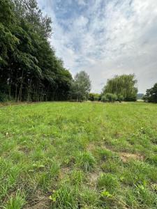 photo For sale Land LANNOY 59