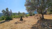 For sale Land Claviers  83830 1240 m2