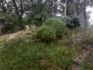 For sale Land Ychoux  40160 510 m2