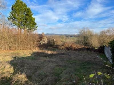 photo For sale Land PEYRISSAC 19