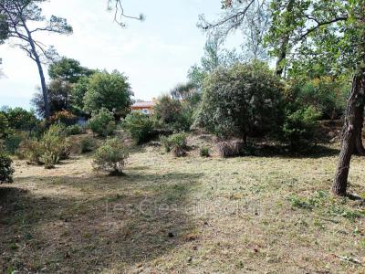 photo For sale Land ROCBARON 83