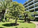 For sale Apartment Cannes BASSE CALIFORNIE 06400 60 m2 2 rooms