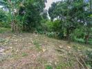 For sale Land Lamentin Pelletier 97232