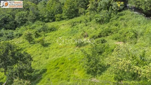 photo For sale Land RIVIERE-PILOTE 972