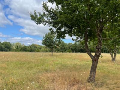 For sale Land SAINT-MARTIN-DE-GURSON  24