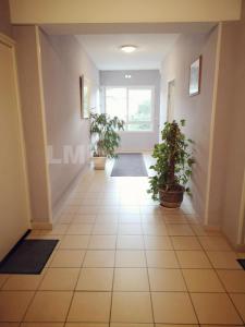 Location Appartement ESSEY-LES-NANCY  54