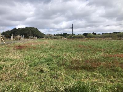 photo For sale Land QUEYRAC 33