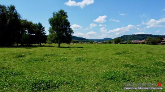 photo For sale Land SAINT-LEONARD 88